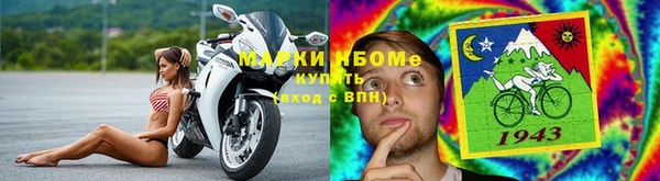 соль ск Новозыбков