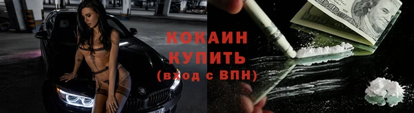 соль курить ск Гатчина