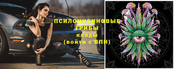 соль ск Новозыбков