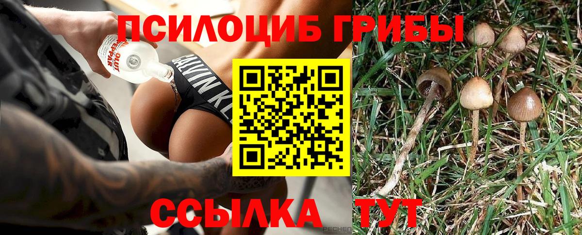 Галлюциногенные грибы Psilocybe Зеленогорск