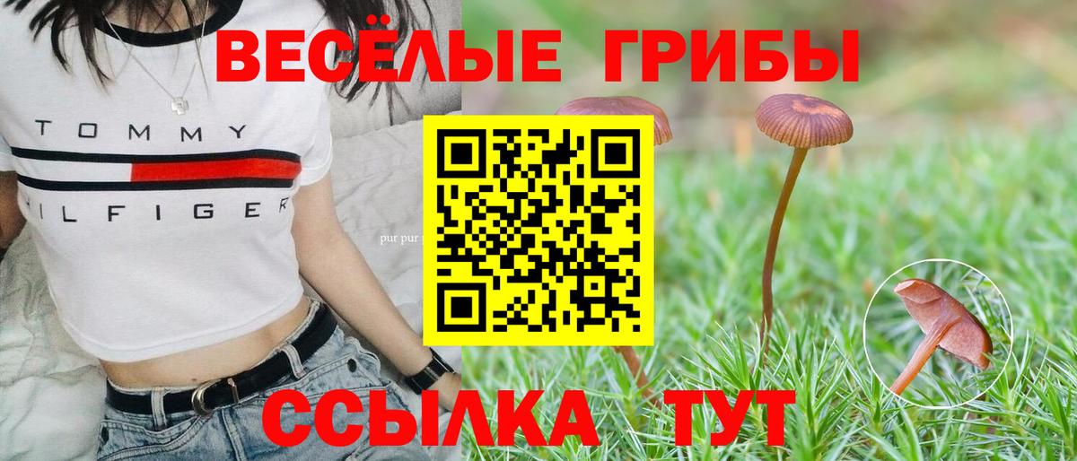 Псилоцибиновые грибы MAGIC MUSHROOMS Зеленогорск