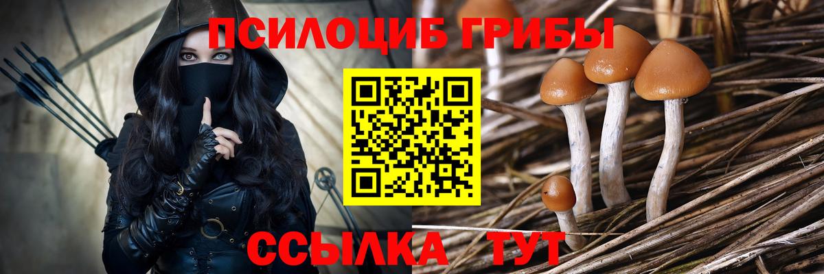 Галлюциногенные грибы Psilocybe  закладка  Зеленогорск  Вход с VPN  Псилоцибиновые грибы Psilocybine cubensis 
